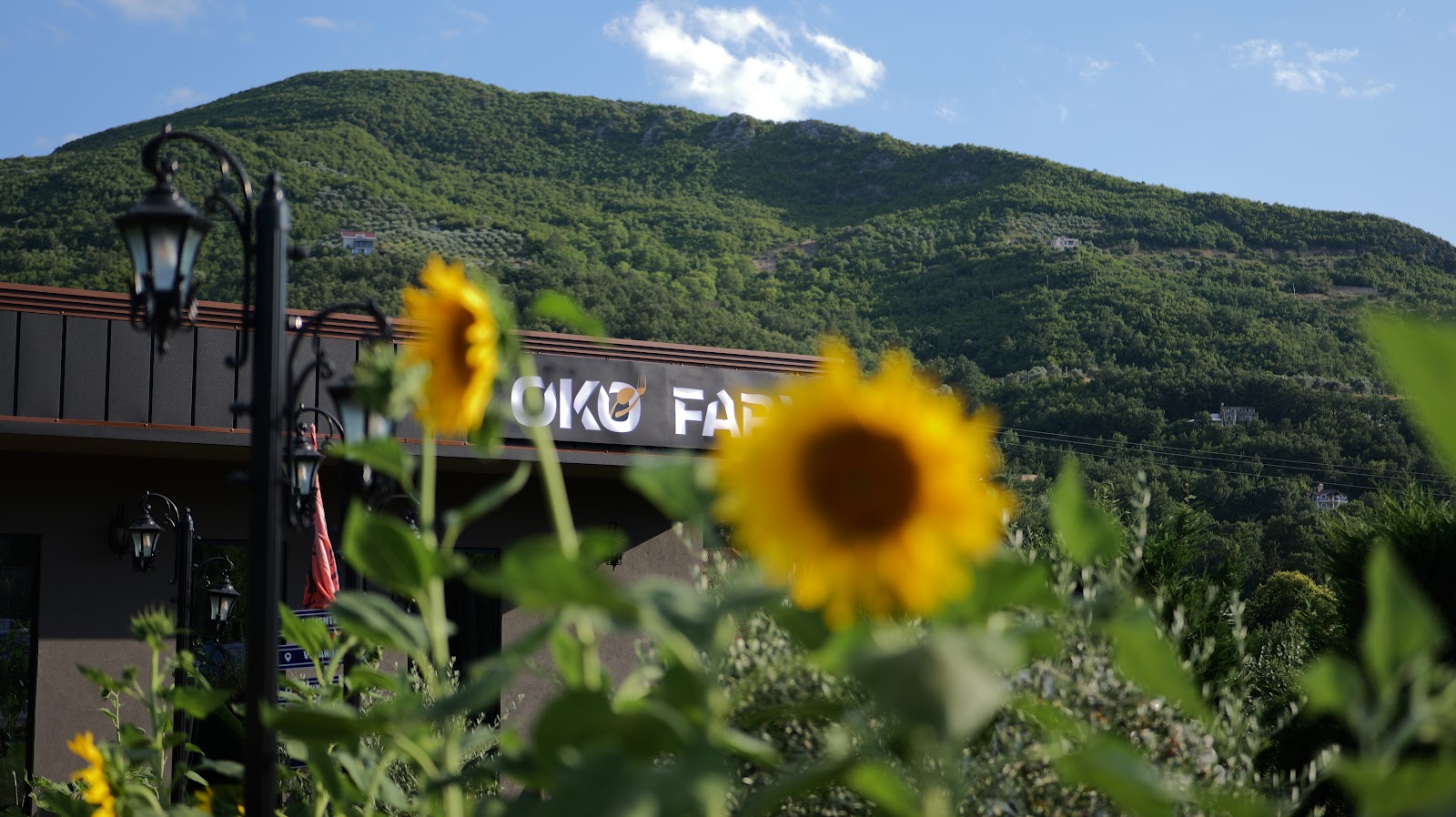 OKO Farm