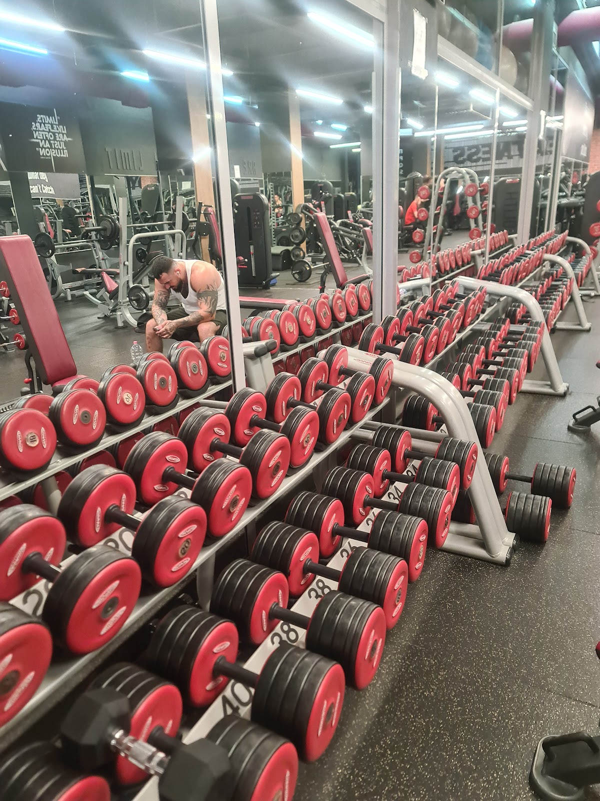 Palestra Perfect Fitness