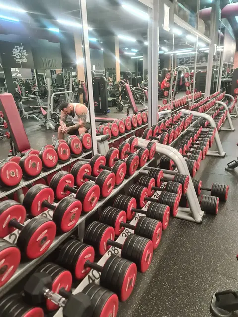 Palestra Perfect Fitness