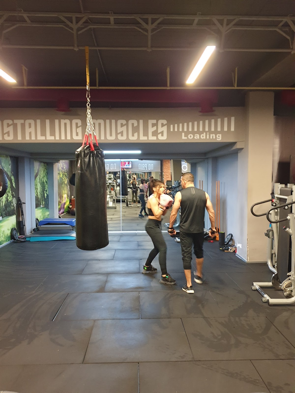 Palestra Perfect Fitness