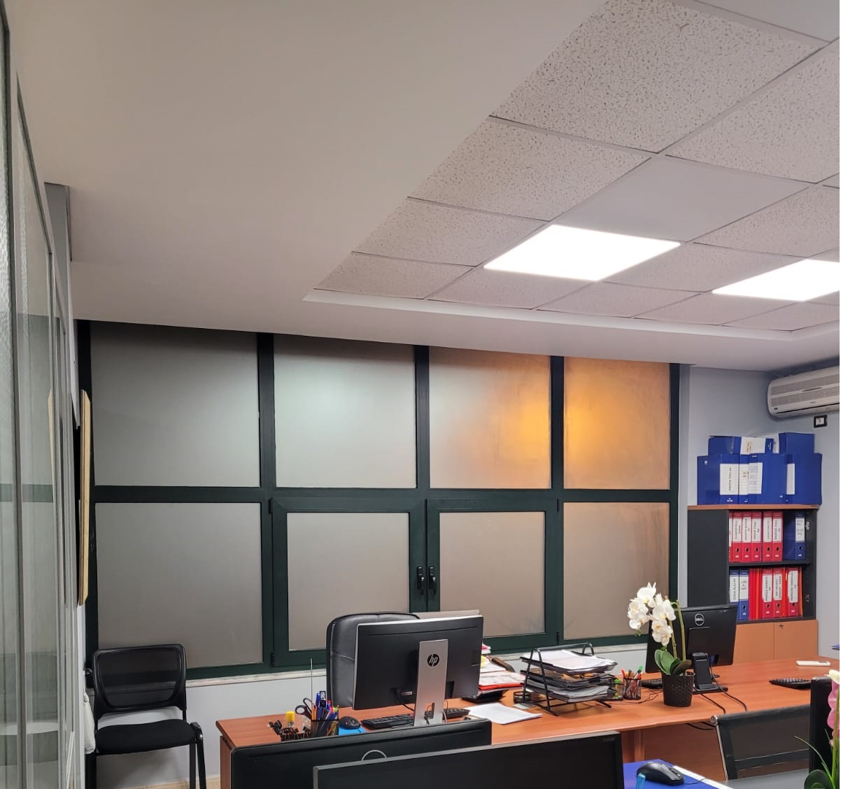 EKONOMISTI JONE - SUN CONSULTING