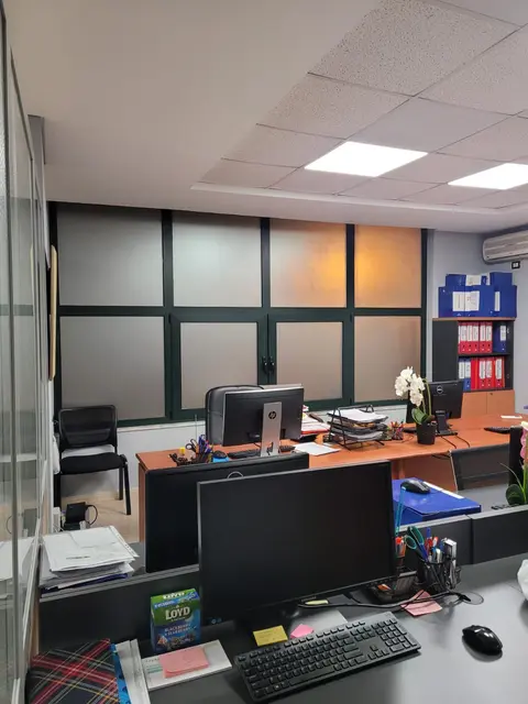 EKONOMISTI JONE - SUN CONSULTING