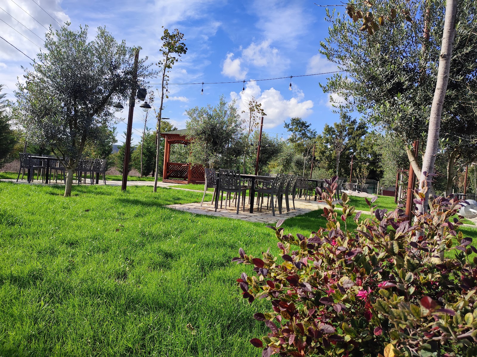 Eco Restaurant