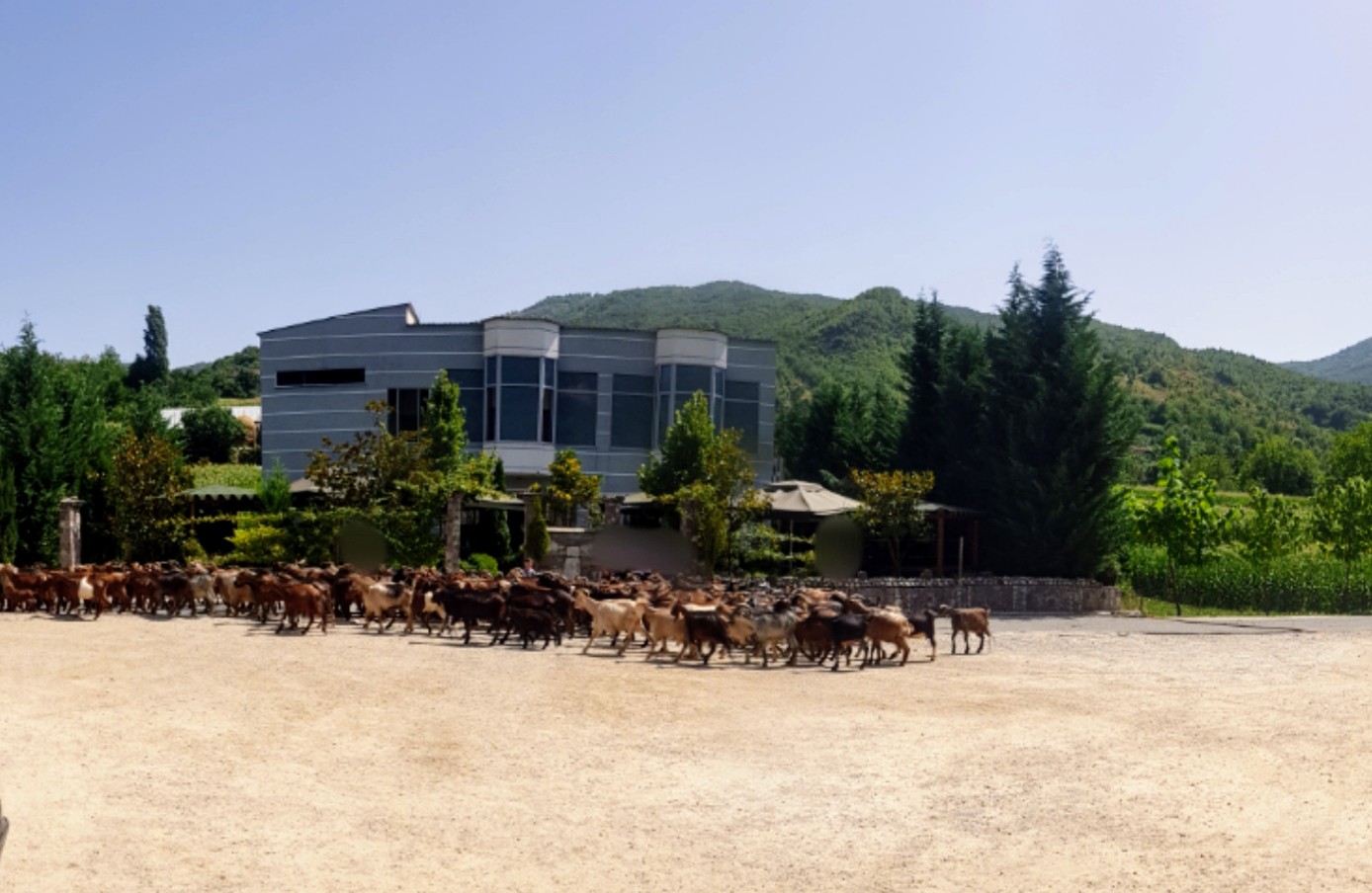 Restorant Selimi