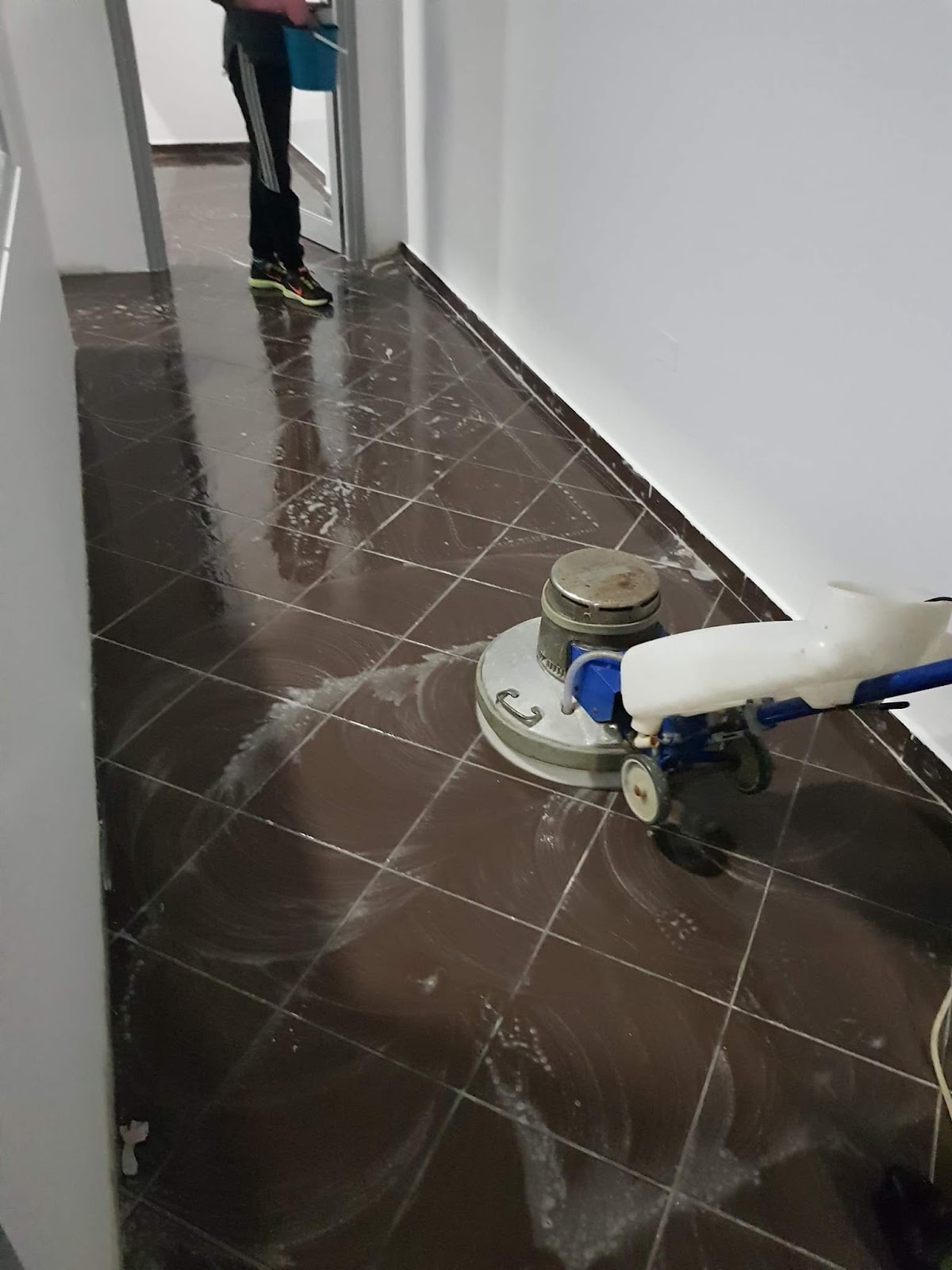 Kompani Pastrimi Mario