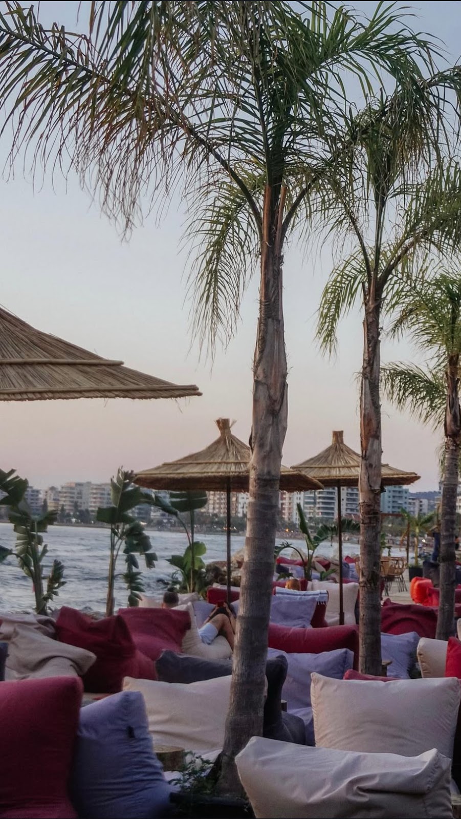 ammos lounge vlore