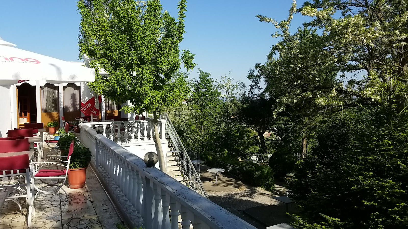 TARZANI Bar Restaurant Piceri