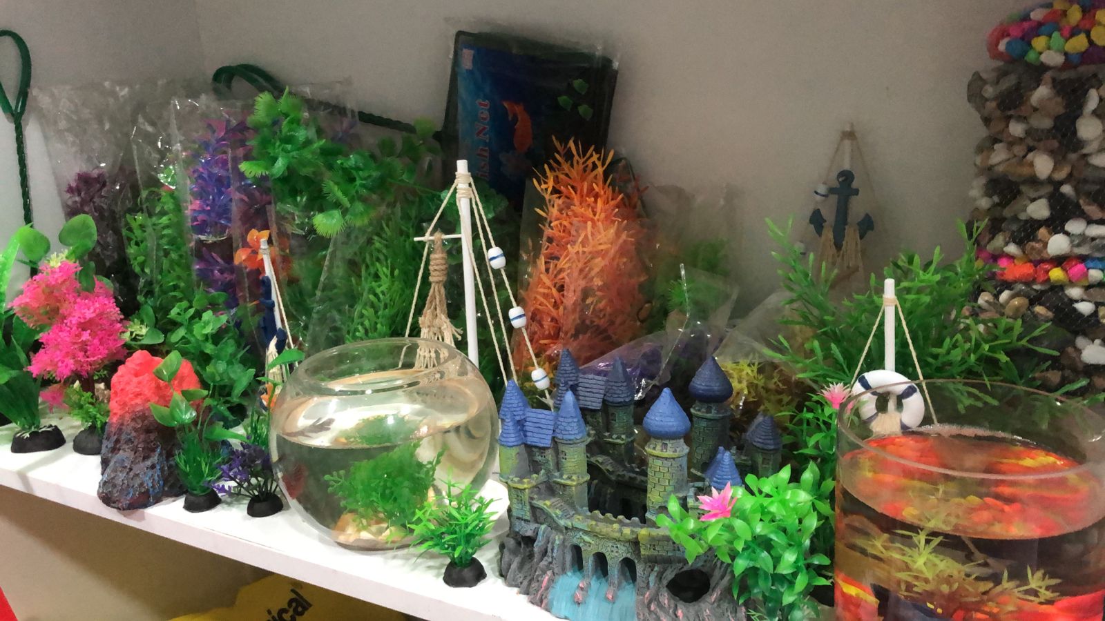 PET SHOP ALBI DURRES