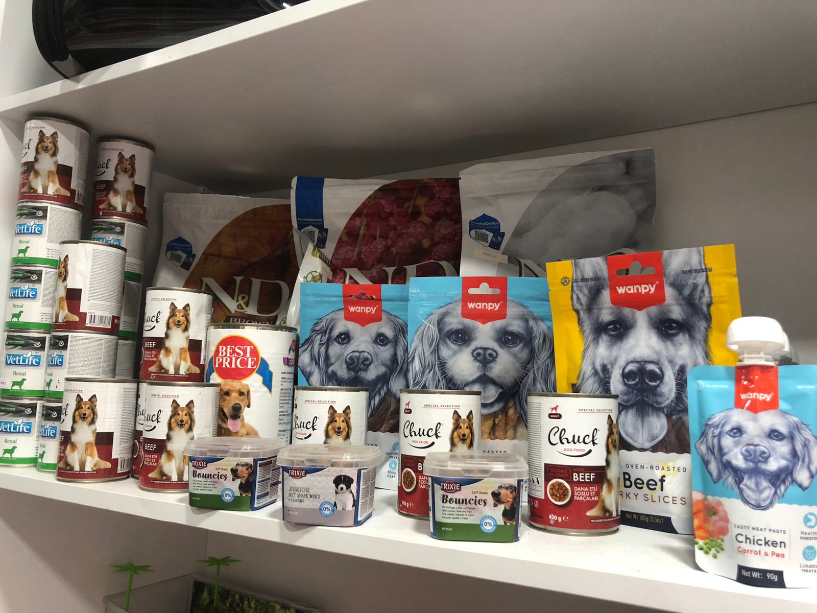 PET SHOP ALBI DURRES