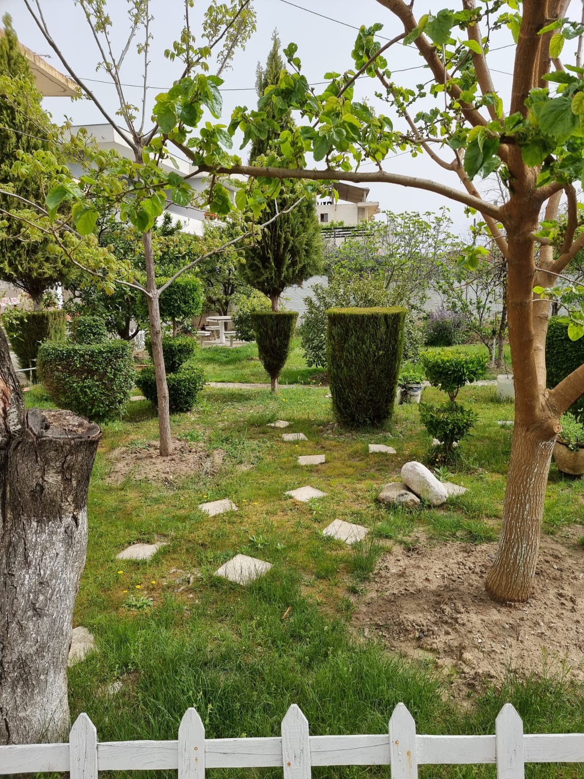 Guest House Vila Elezi