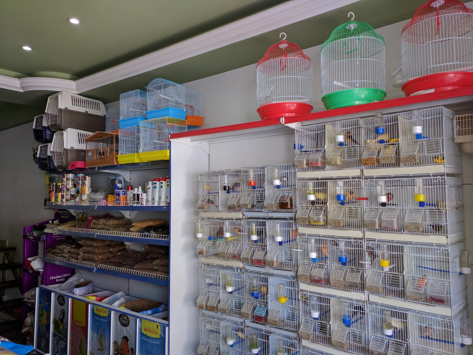 Pet Shop Korça