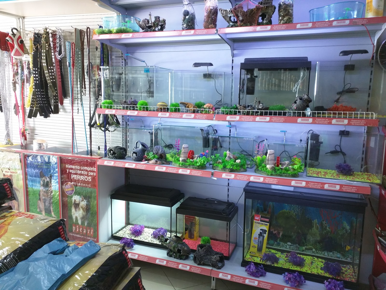 Pet Shop Korça