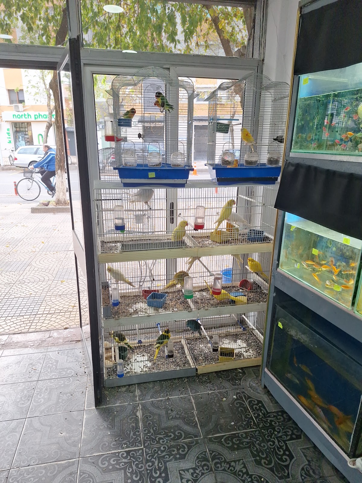 Zoo Tropik