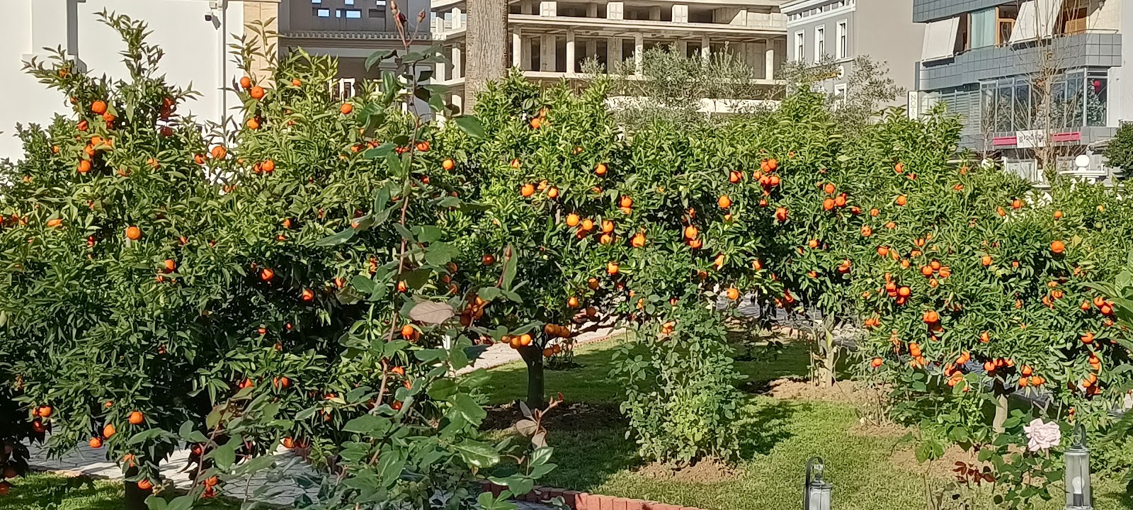 Shtëpia muze Eqerem Bej Vlora