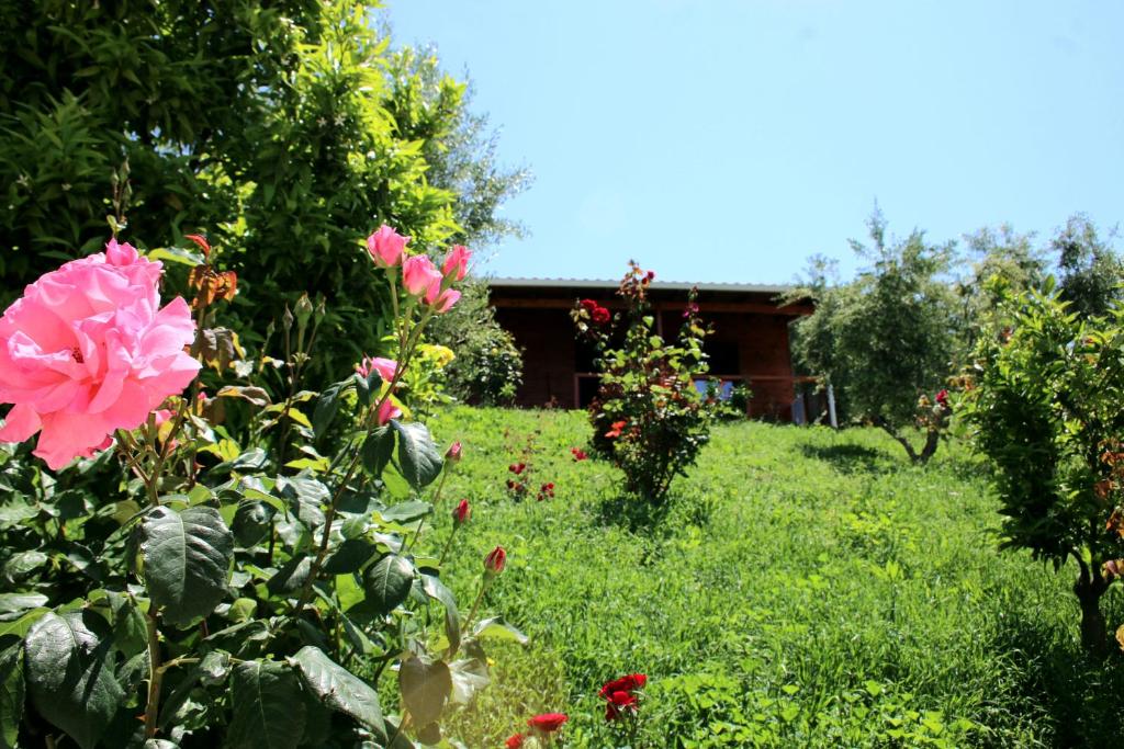Agroturizëm Bylis