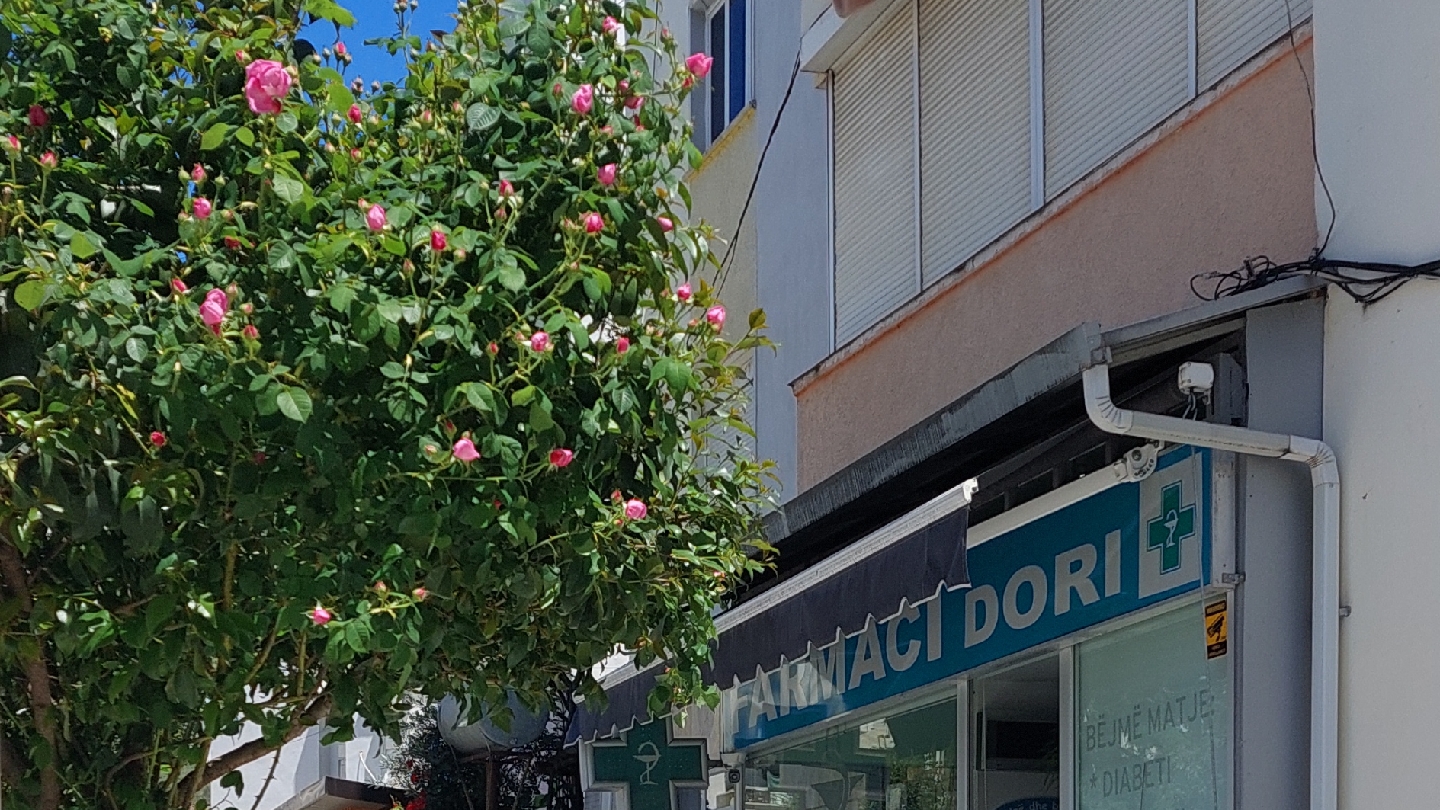 Farmaci Dori