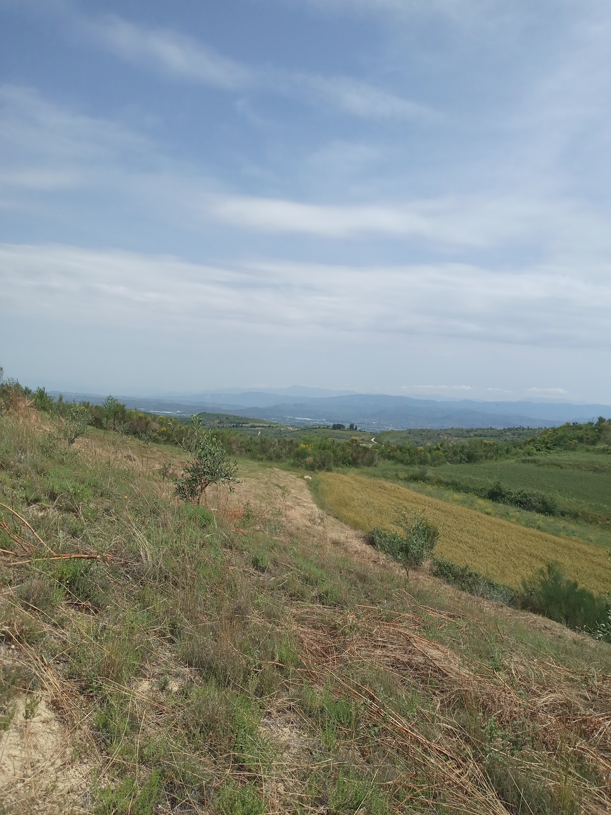Bregu Stani Vokopol