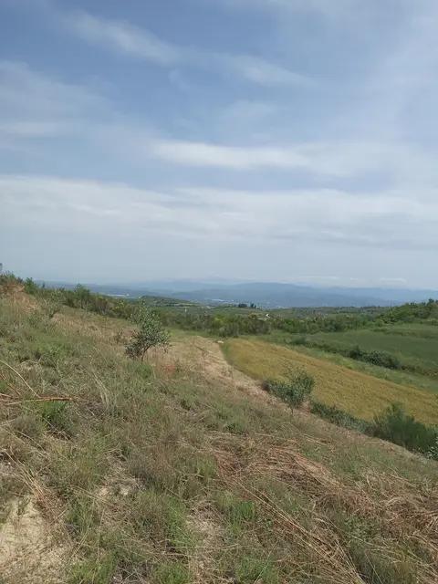 Bregu Stani Vokopol