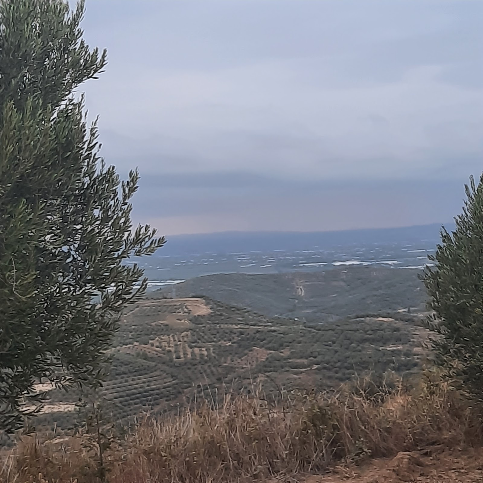 Bregu Stani Vokopol