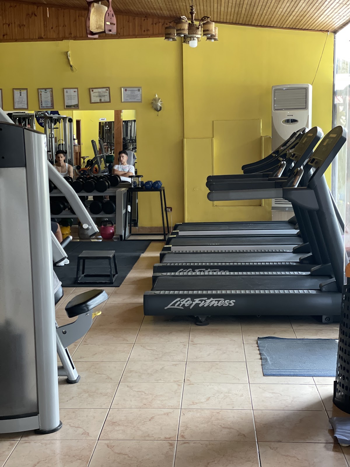 Daniel Fitness