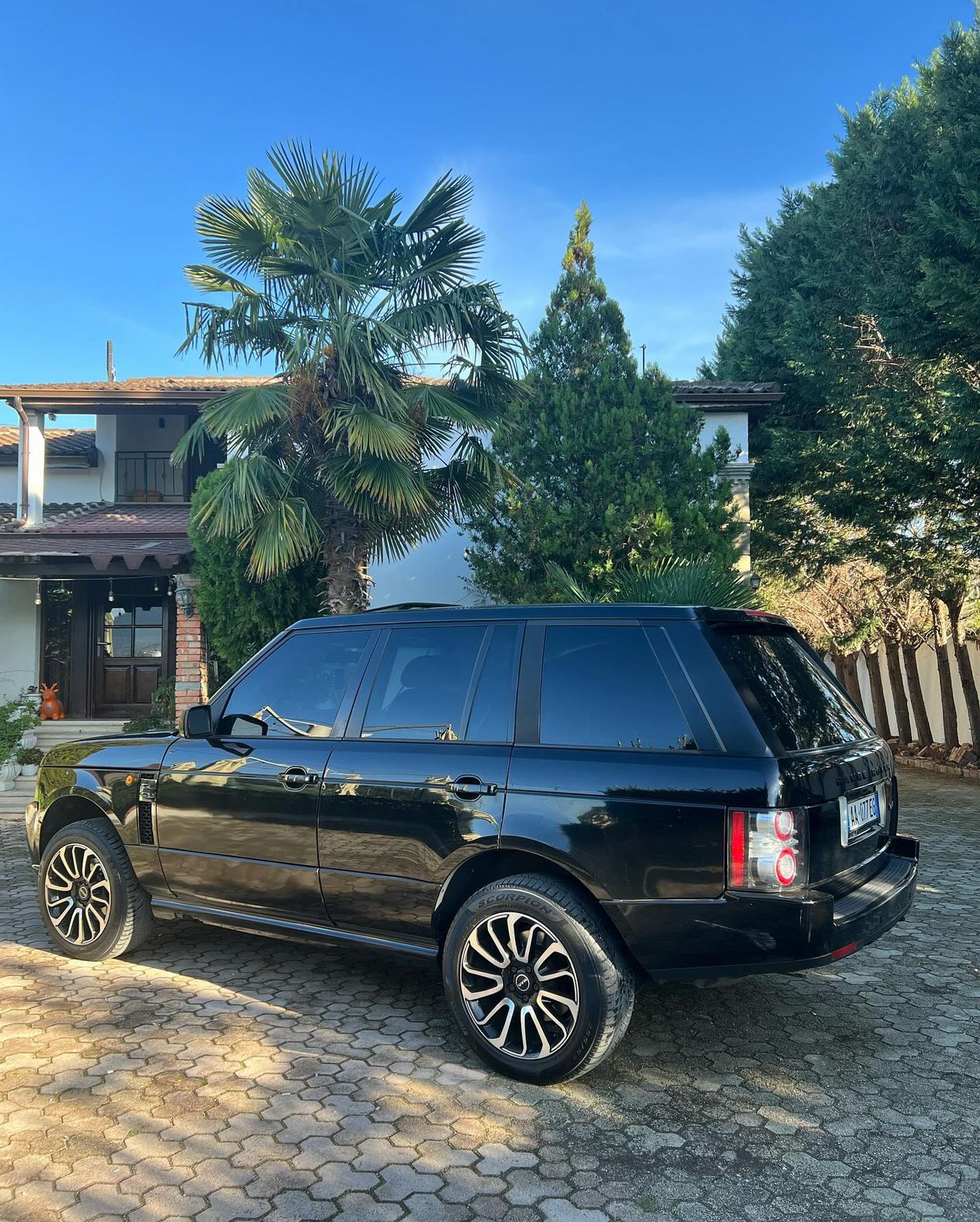 Rental Nikol Berat