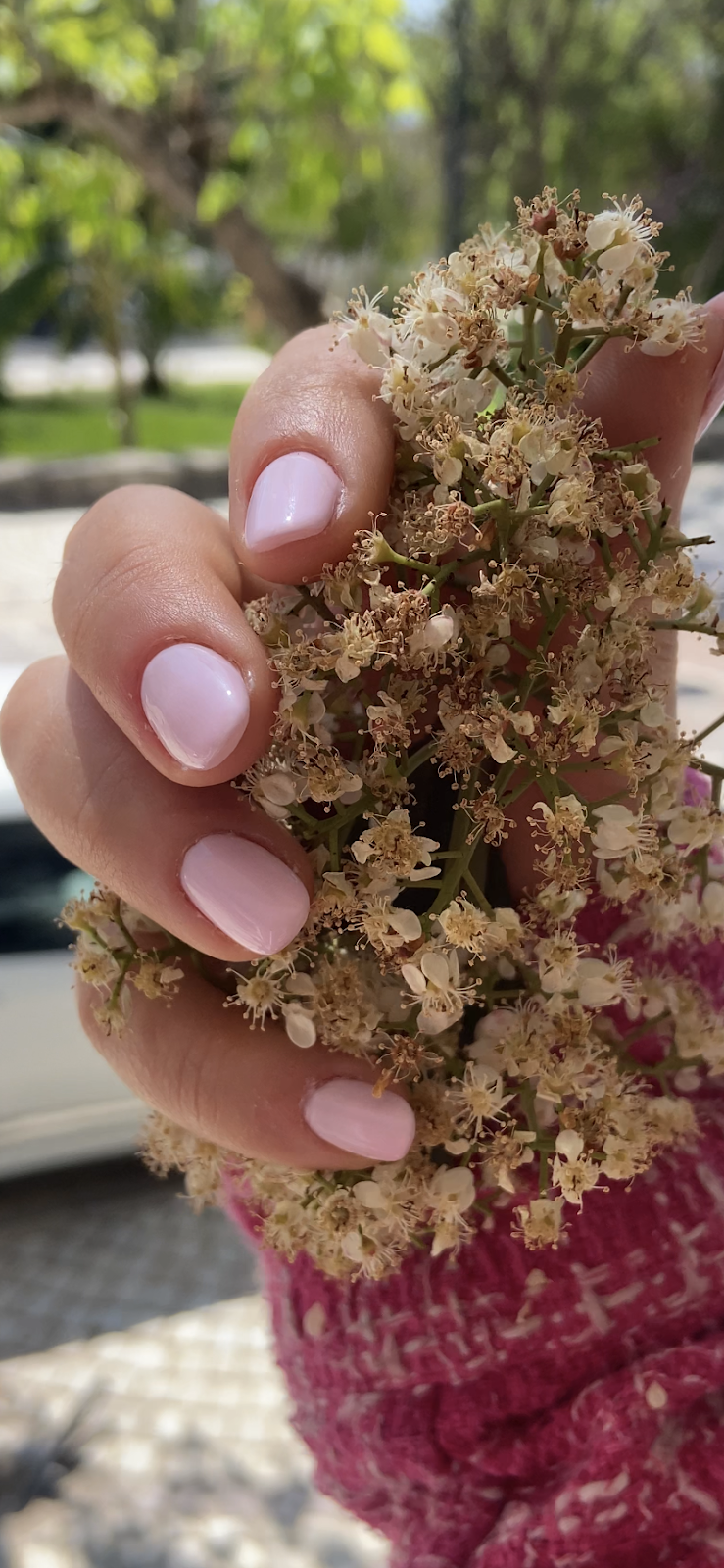 Opal nails