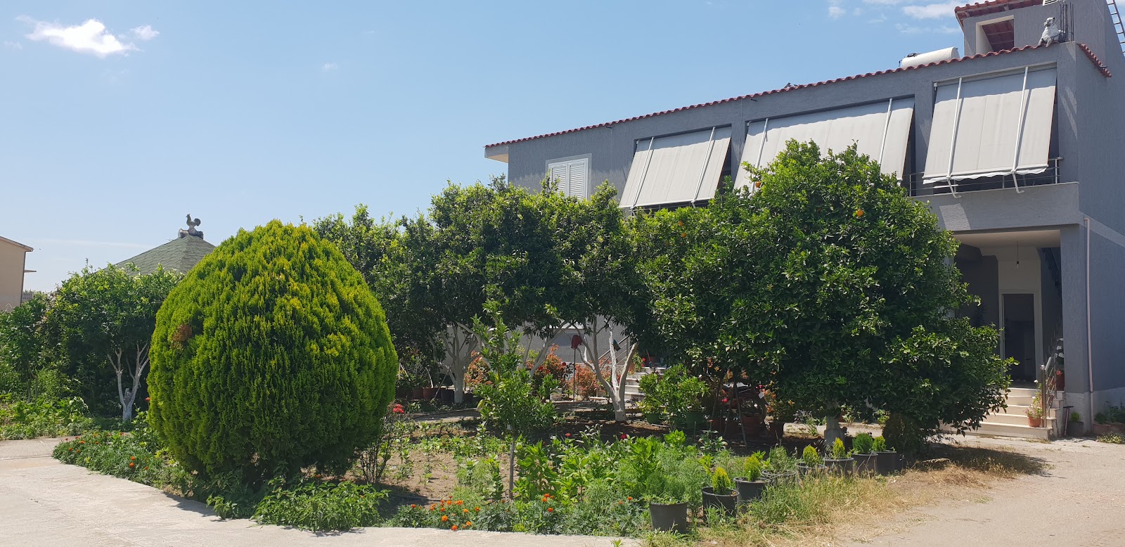 Guesthouse Anila