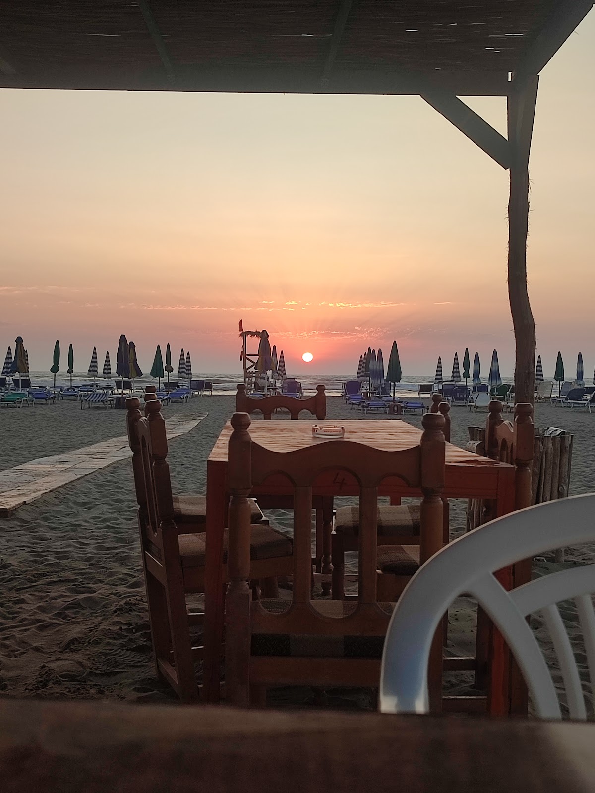 Bar Restorant ALCANI