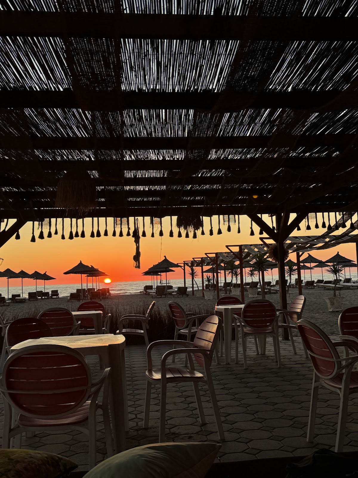 Beach bar mimo