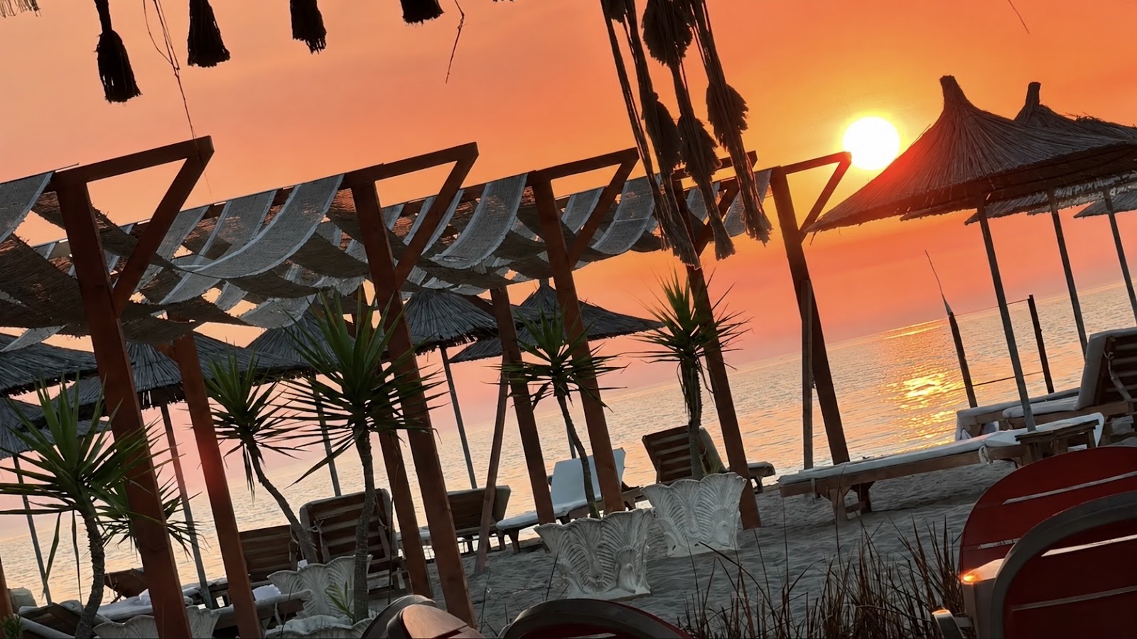 Beach bar mimo