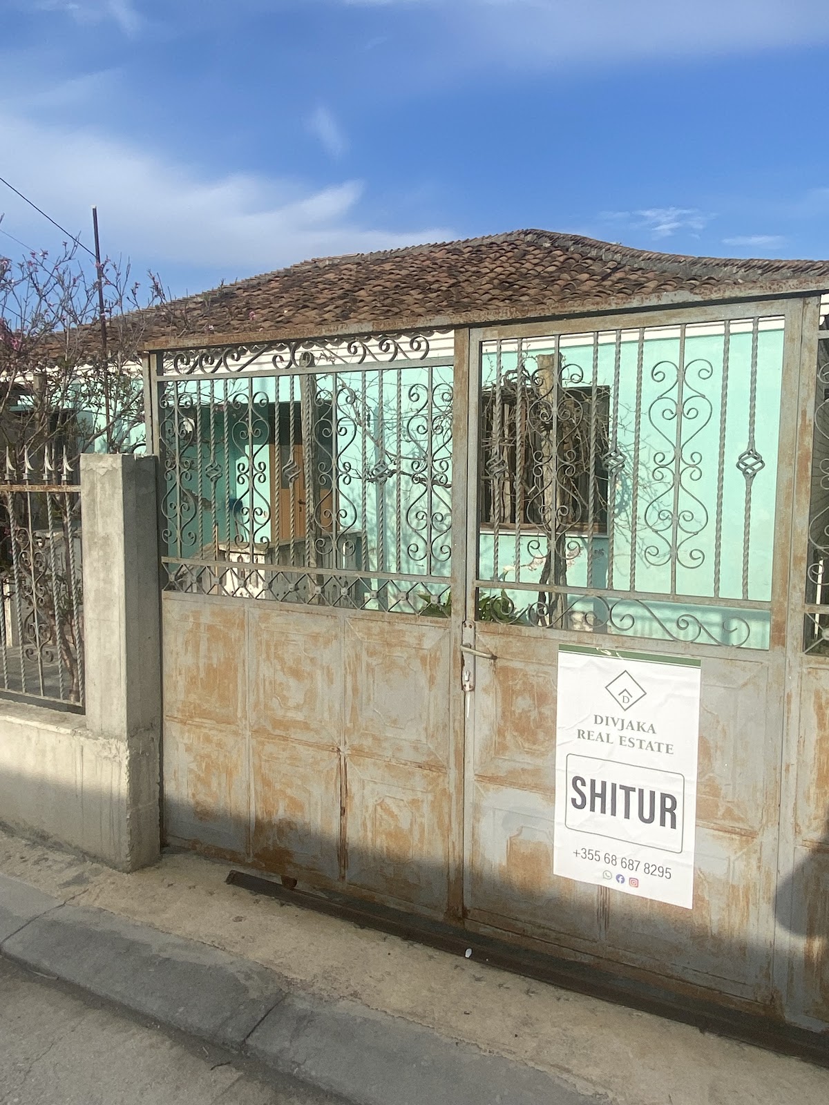 Divjaka real estate