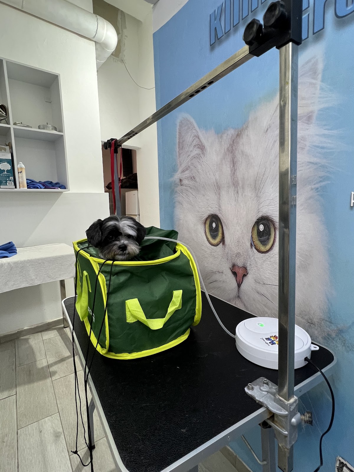 Klinikë Veterinare Durrës Pet House