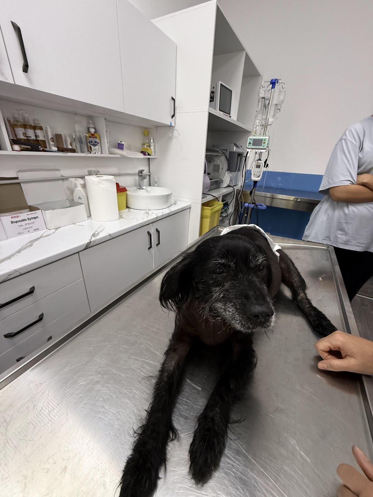 Klinikë Veterinare Durrës Pet House