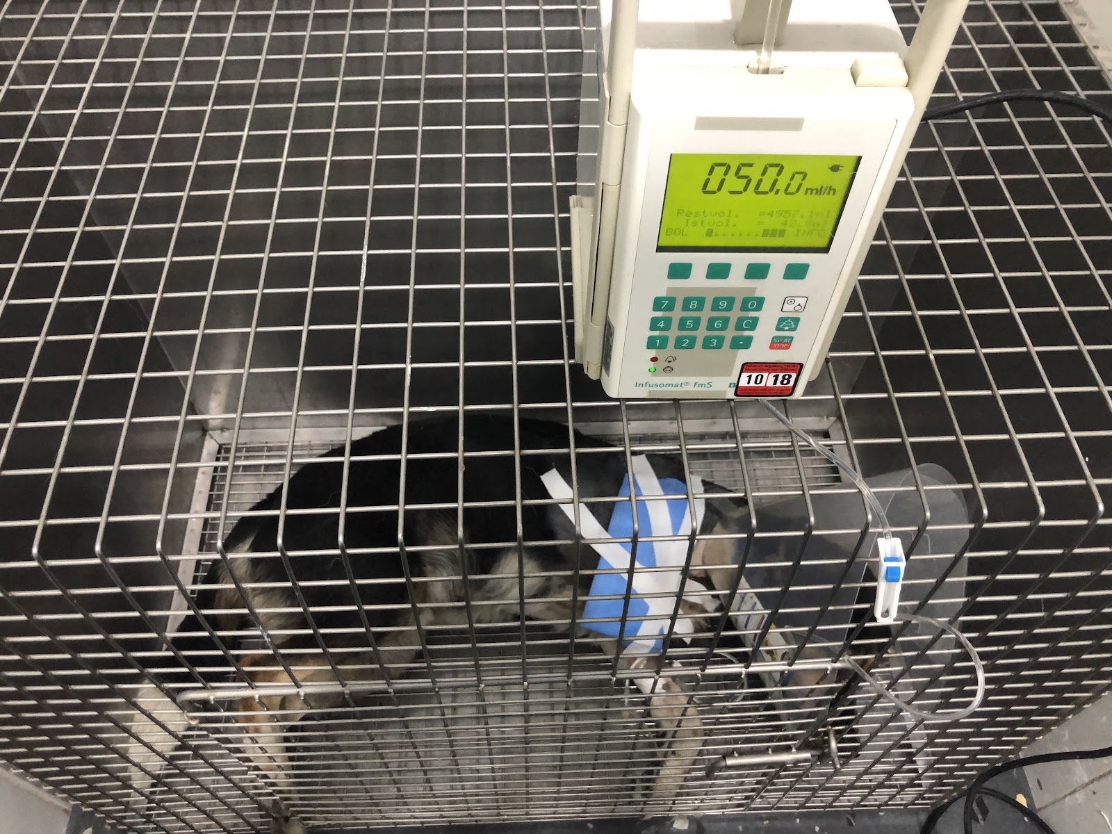 Klinika Veterinare KLOER