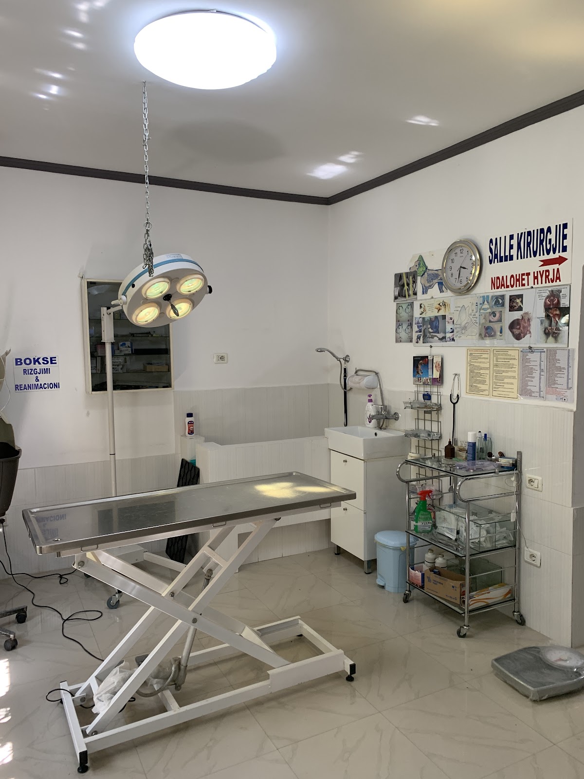 Klinikë Veterinare V. Osmani