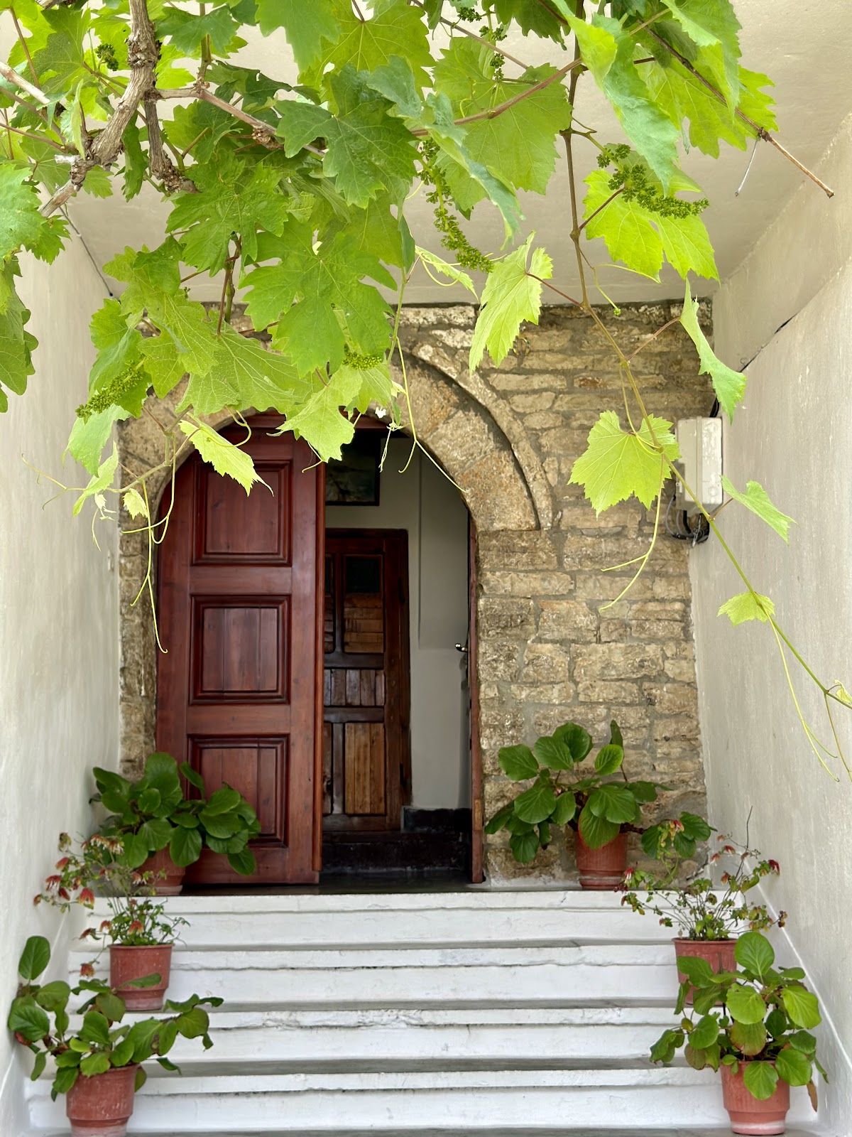 Shtëpi për mysafirë Salaria