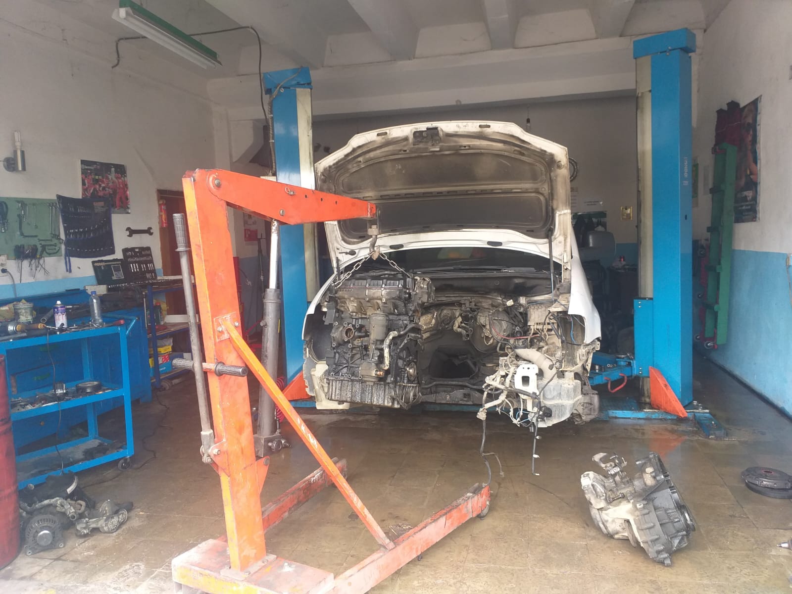 Auto Service Martini