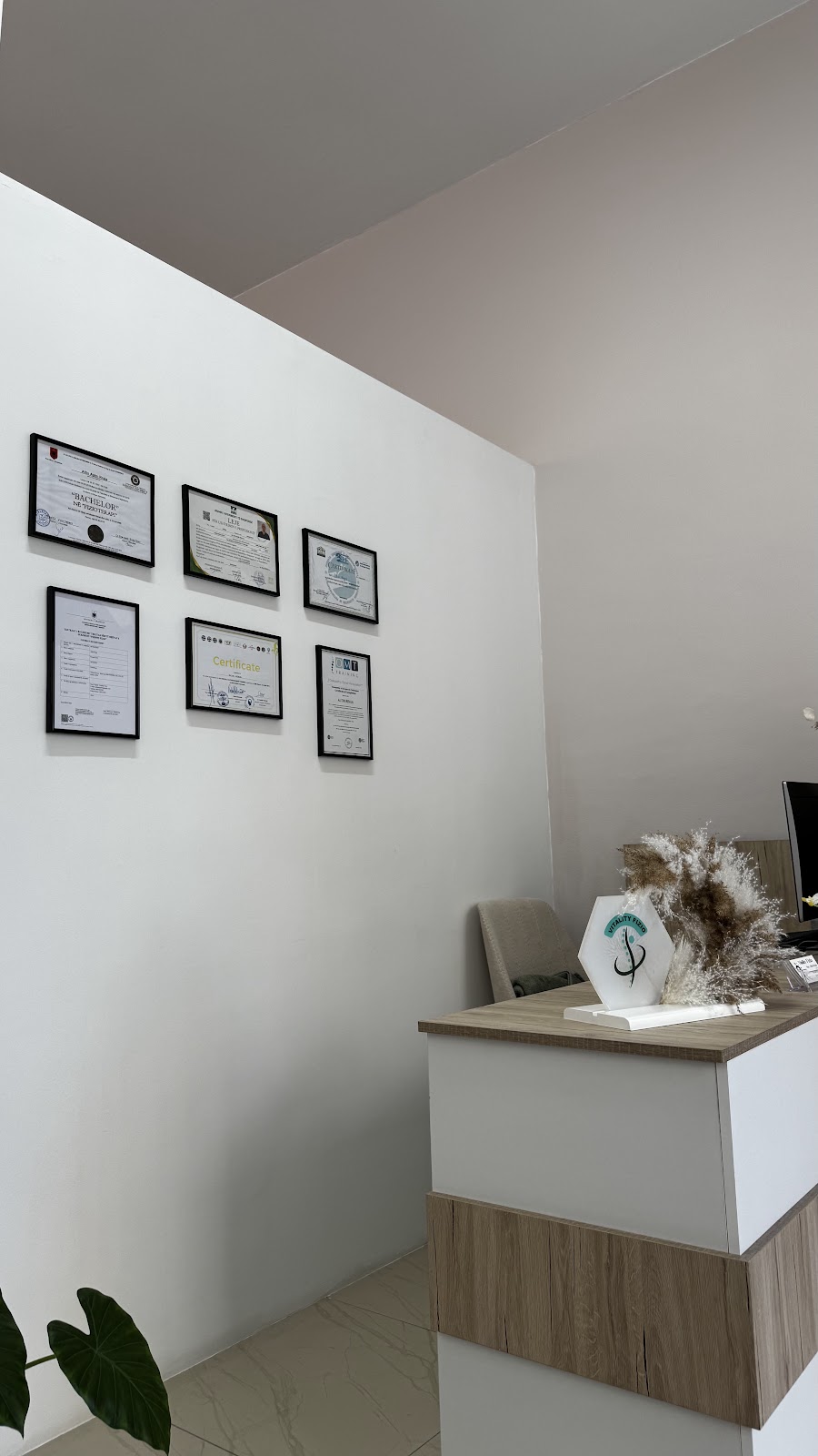 Klinikë Fizioterapie - Vitality Fizio - Fizioterapi