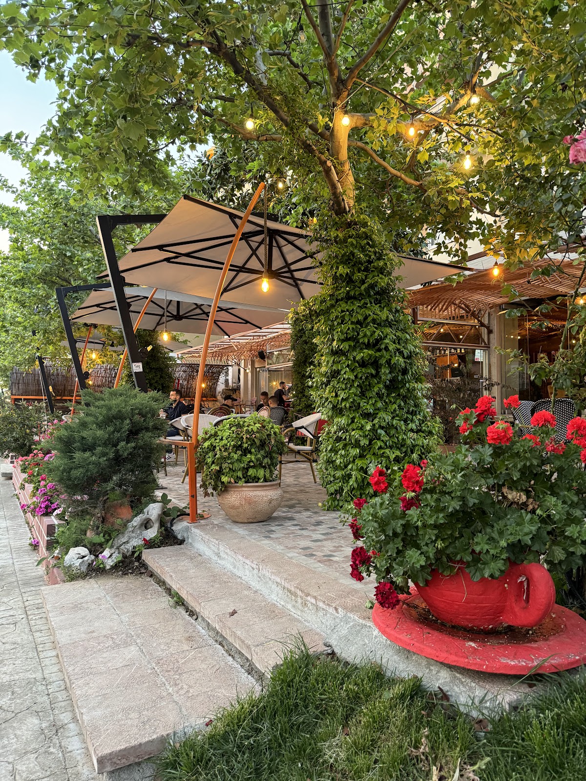 Bar Serrani 2