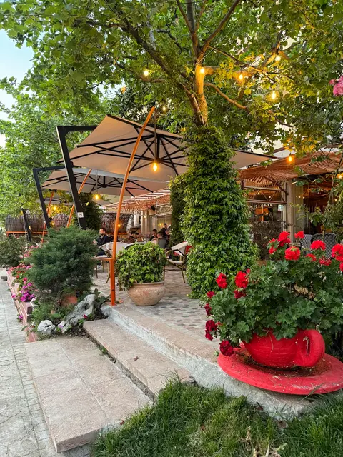 Bar Serrani 2