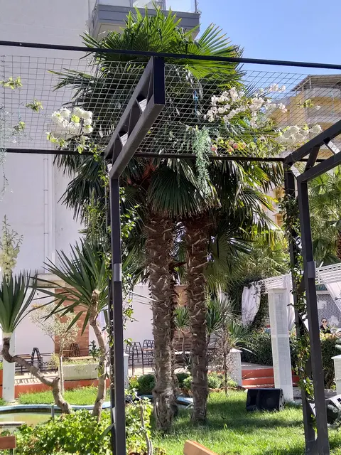 Bar Bullica
