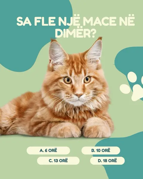 Klinikë