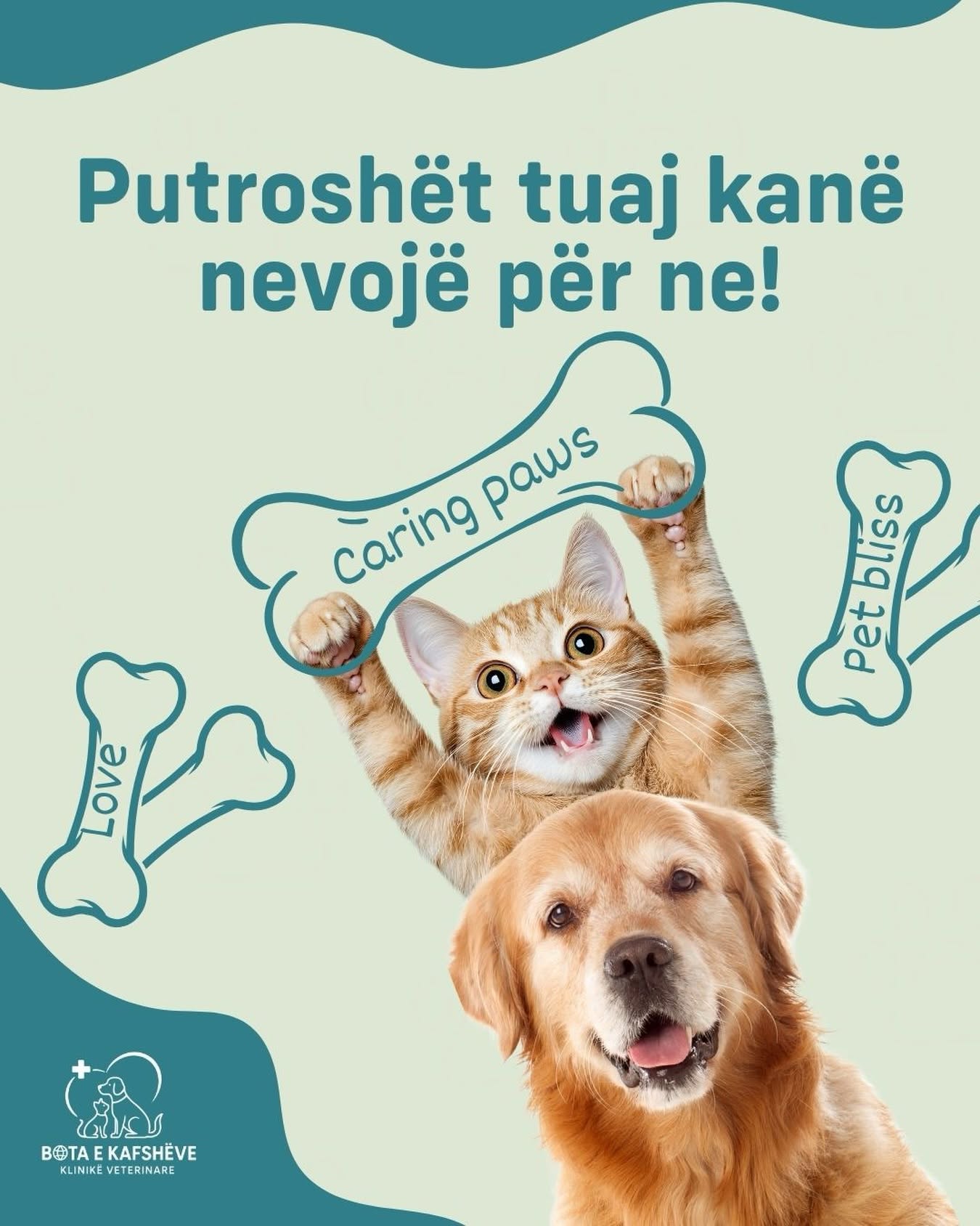 Klinikë Veterinare Elbasan