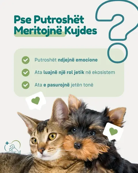 Klinikë