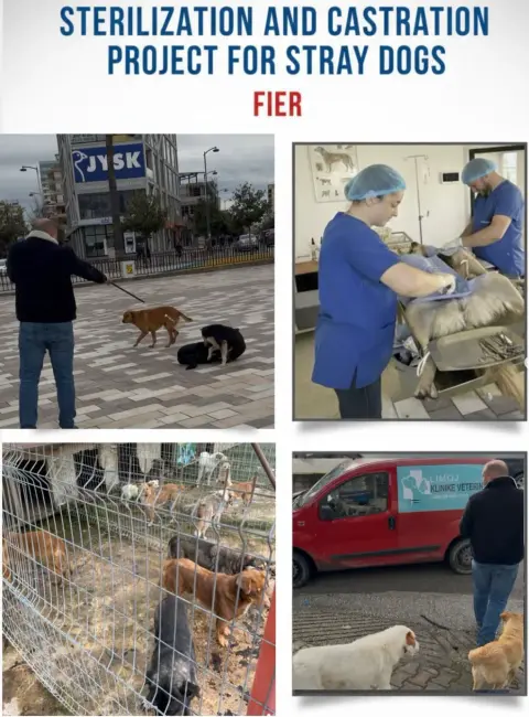 Klinikë Veterinare