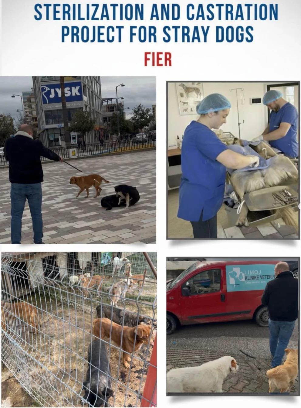 Klinik Veterinare Limoj