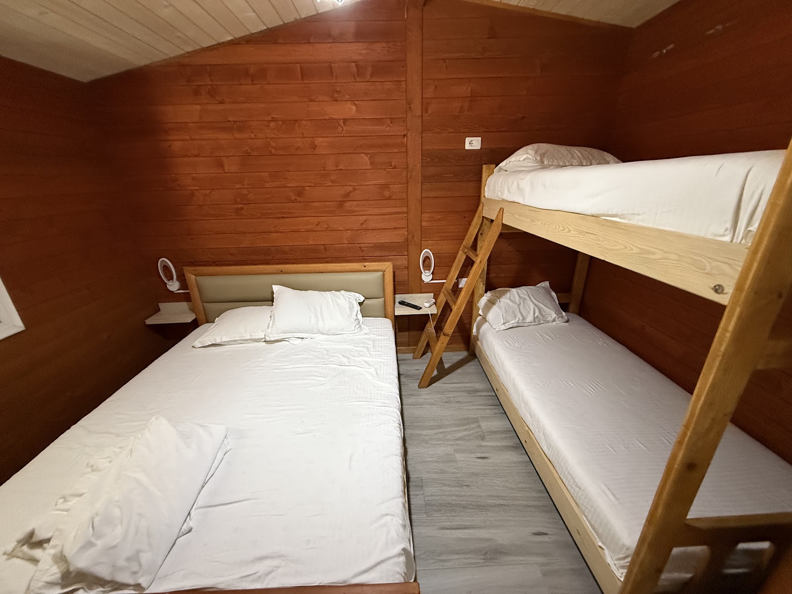 Bujtina e Muriqit