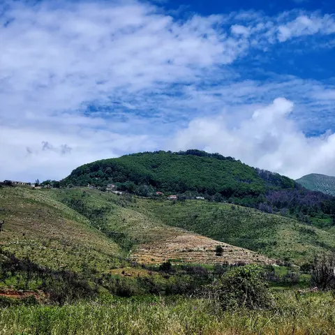 Delvine Offroad Tours