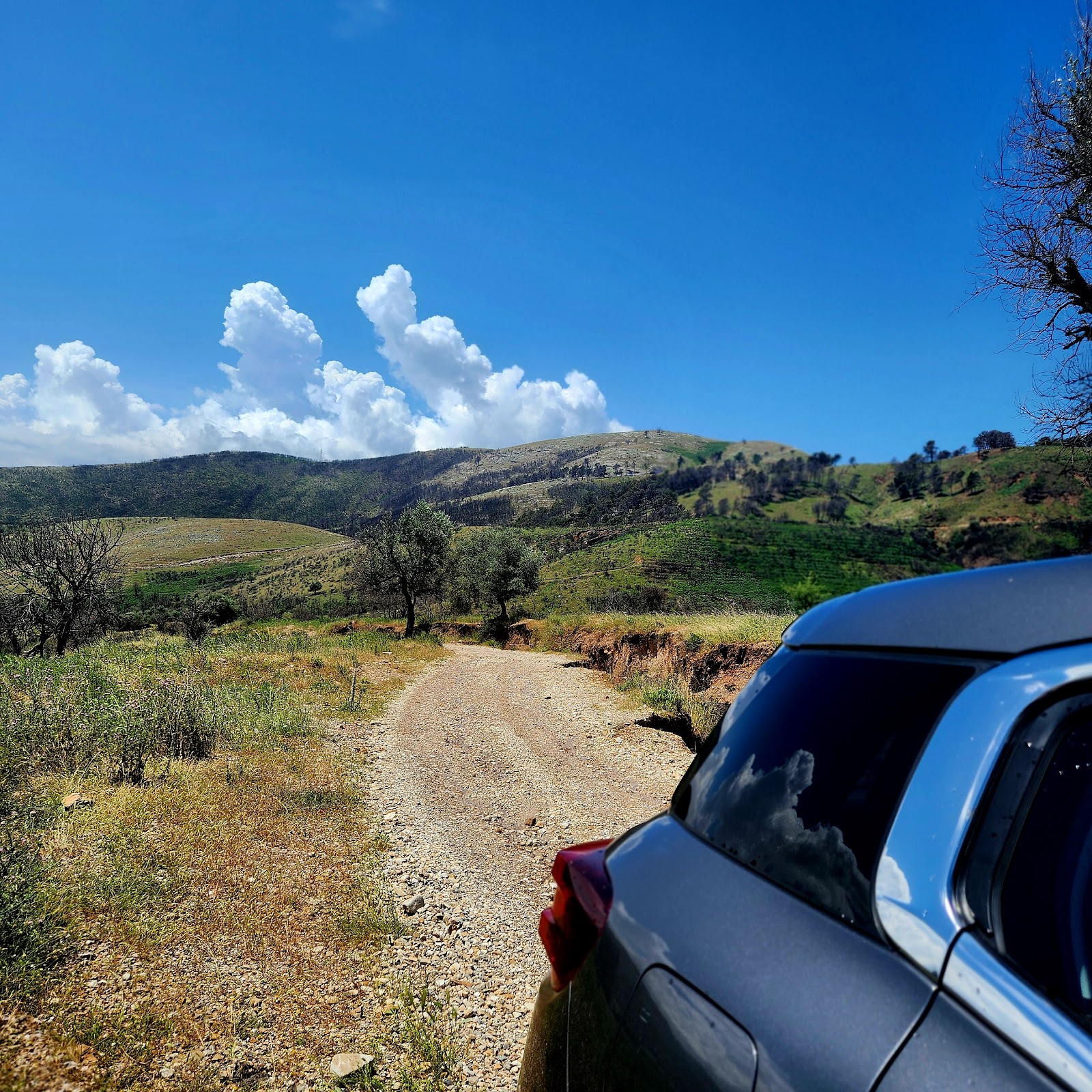 Delvine Offroad Tours