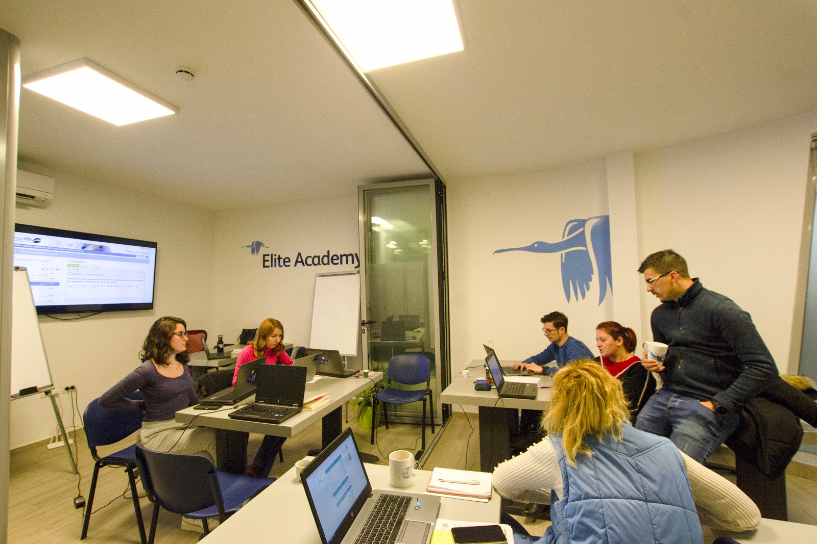 Elite Travel Group